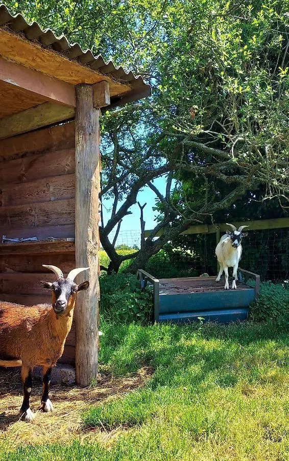 Maison De Contes En Amoureux 타든